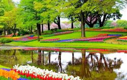 Tulpenblüte im Keukenhof - Busreise nach Holland und Belgien