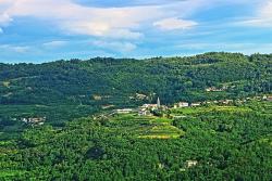 Weinberge auf Istrien © Vanessa Desiré Dazzy auf Pixabay