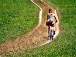 Radtour an Elbe und Saale