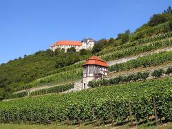 Die Neuenburg bei Freyburg © Saale-Unstrut-Tourismus e.V.