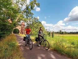 Elberadweg - Dessau - Sieglitzer Berg © Felix Meyer