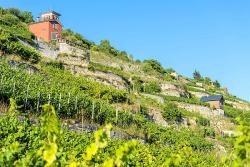 Saale-Unstrut-Wein © Christoph Keller
