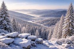 Advent im Bayerischen Wald