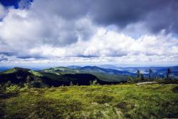 Bayerischer Wald © Markus Spiske auf Pixabay