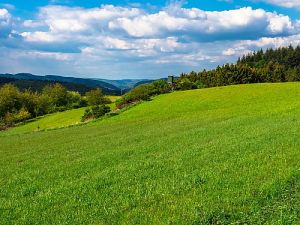 Im Vogtland © Thomas auf Pixabay