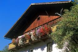 Südtiroler Bauernhaus