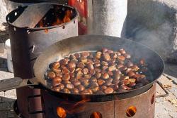 Törggelen in Südtirol © Matthias Böckel auf Pixabay