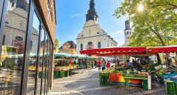 Frankenthal - Frühlingsreise zur Mandelblüte in der Pfalz