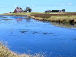Hallig Hooge - Pixabay