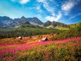 In der Hohen Tatra