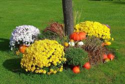 Gartenschau © Falko Fröhlich auf Pixabay