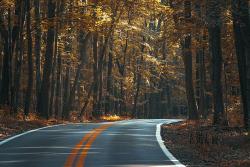 Rundfahrt durch den Thüringer Wald © Pexels auf Pixabay