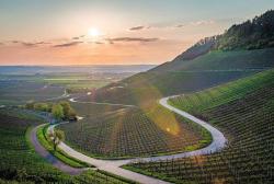 Fränkisches Weinland © Jan Schneller auf Pixabay