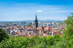 Blick auf Freiburg © Magann - stock adobe