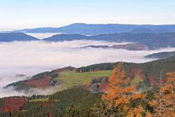 Reise zur Laubfärbung im Schwarzwald