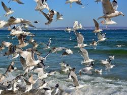 Natur pur auf Rügen