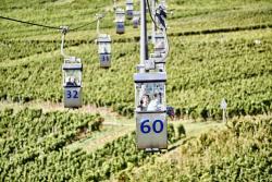 Seilbahn zum Niederwalddenkmal - über Reben schweben