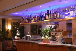 Kururlaub Bad Elster - Parkhotel Helene - Bar