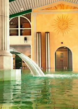 Hotel Birkenhof Therme - Kururlaub Bad Griesbach mit Haustürabholung