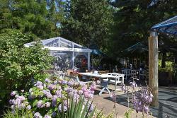 SeaPark Hotel Wellness & Spa - Garten