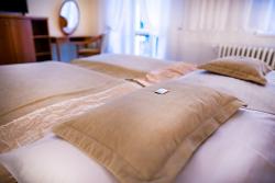 Monti Spa Hotel - Kururlaub in Franzensbad mit Haustürabholung