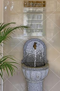 Svoboda Health Spa Hotel