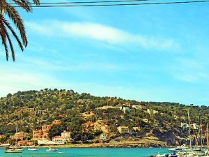 Genießer - Reise Mallorca - Paguera Hafen