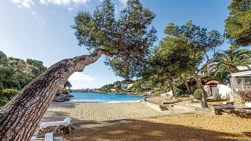 Wanderparadies Mallorca