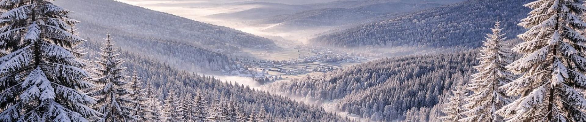 Advent im Bayerischen Wald