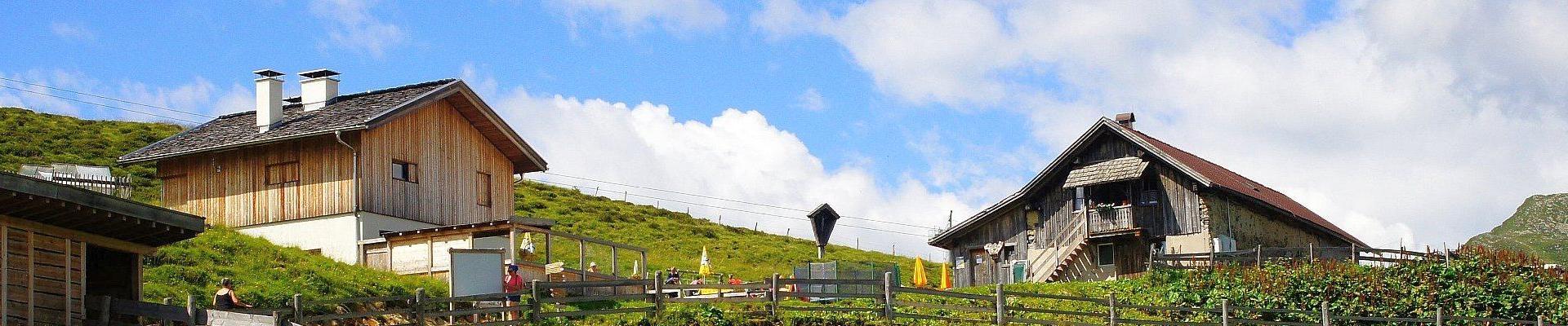 Alm © Birgit Witulski auf Pixabay