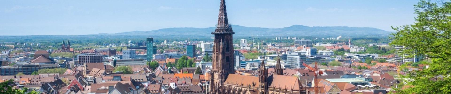 Blick auf Freiburg © Magann - stock adobe