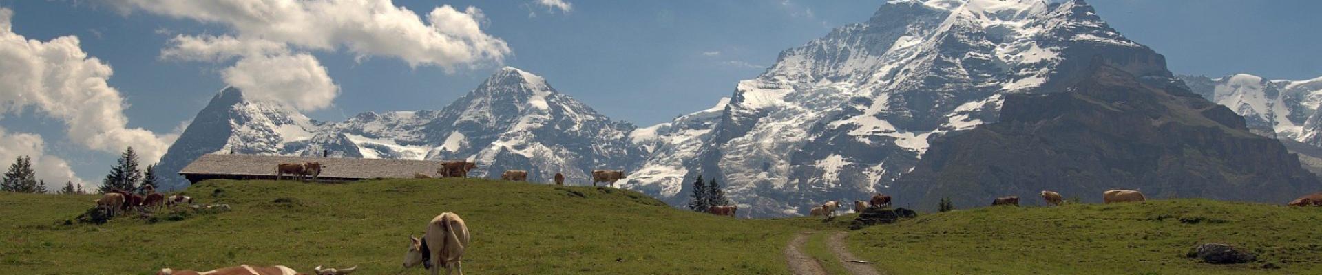 Blick zum Jungfraujoch © Pixabay