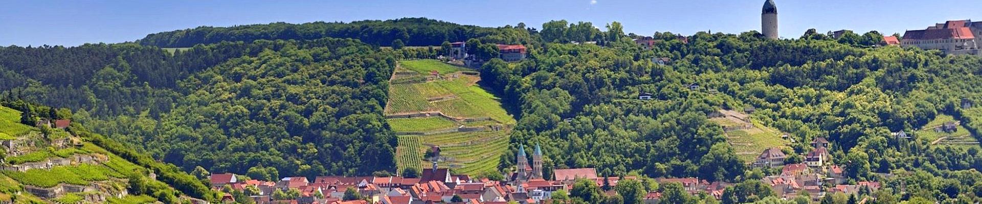 Blick auf Freyburg und die Weinberge © Wolfgang Kubak