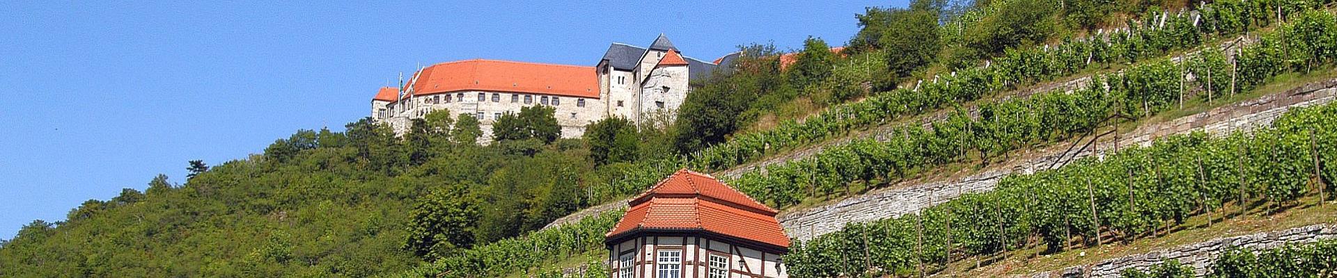 Die Neuenburg bei Freyburg © Saale-Unstrut-Tourismus e.V.