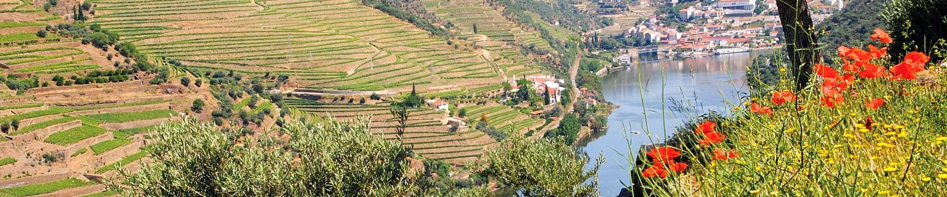 Flusskreuzfahrt auf dem Douro