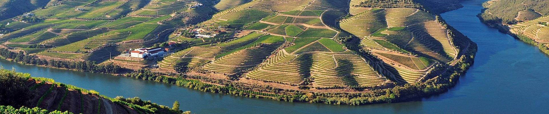 Douro - Tal