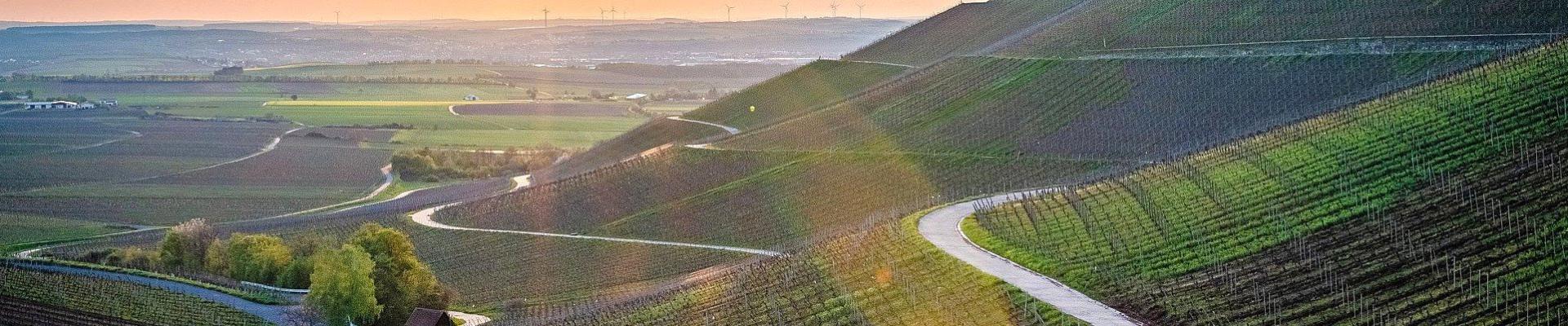 Fränkisches Weinland © Jan Schneller auf Pixabay