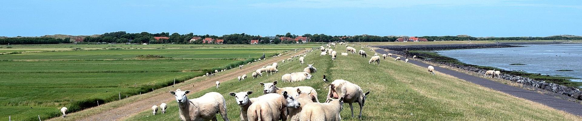 Friesland © Kobus van Leer auf Pixabay