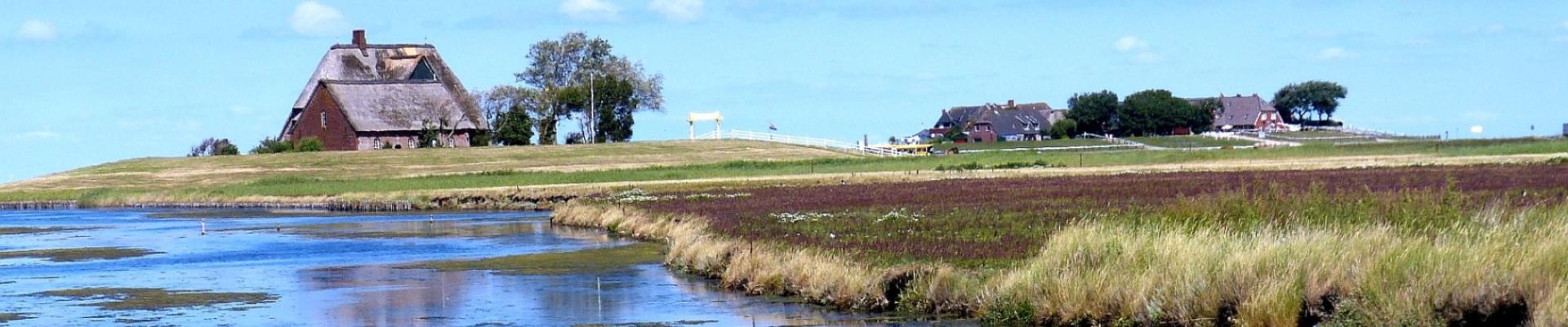 Hallig Hooge - Pixabay