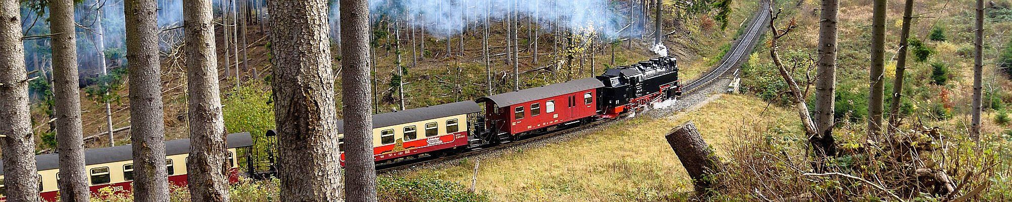 Harzer Schmalspurbahn © Pixabay