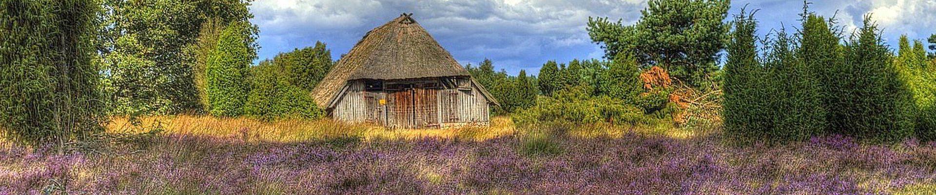 Tagesfahrten im August 2025 - Lüneburger Heide