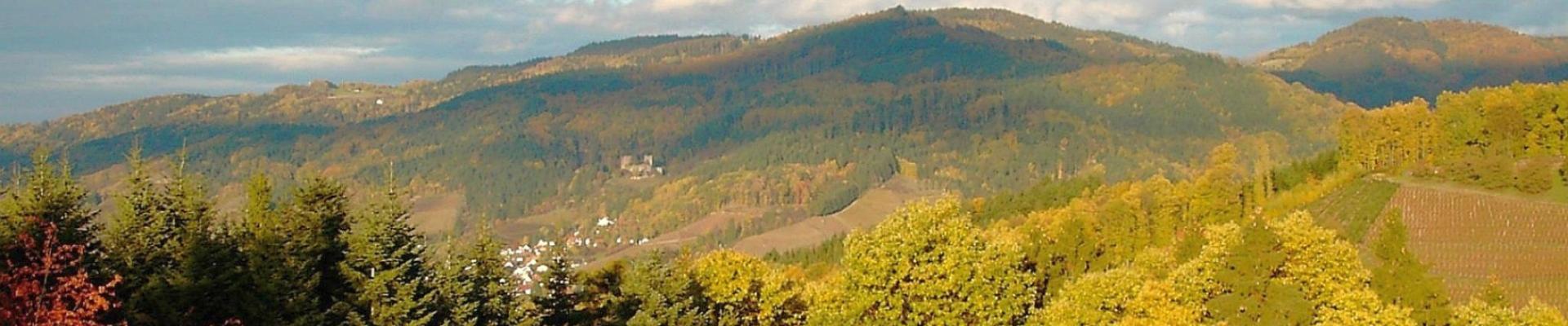 Herbstlicher Schwarzwald © Erge auf Pixabay