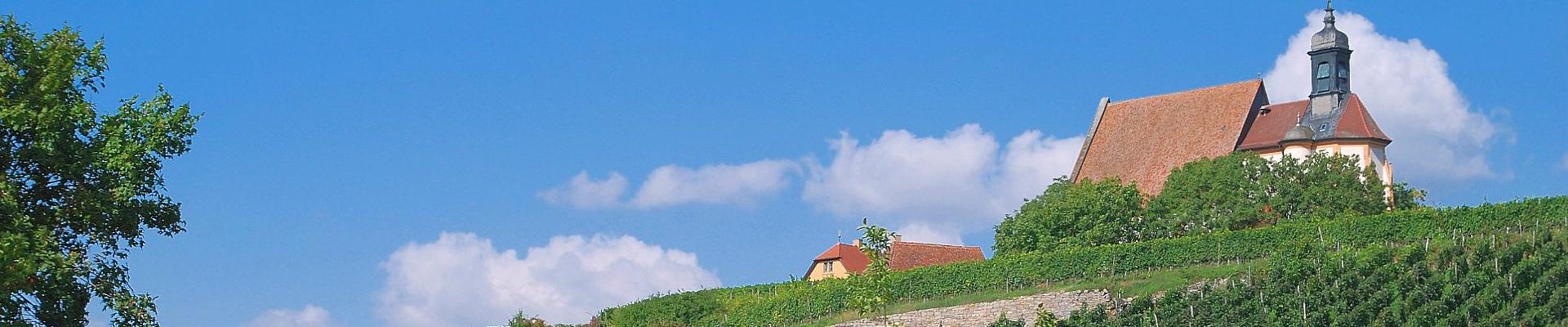 In den fränkischen Weinbergen