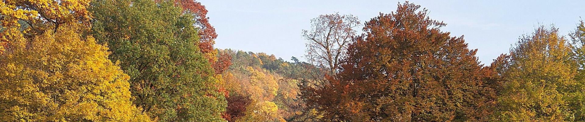 Indian Summer in Franken © Klaus Stebani auf Pixabay