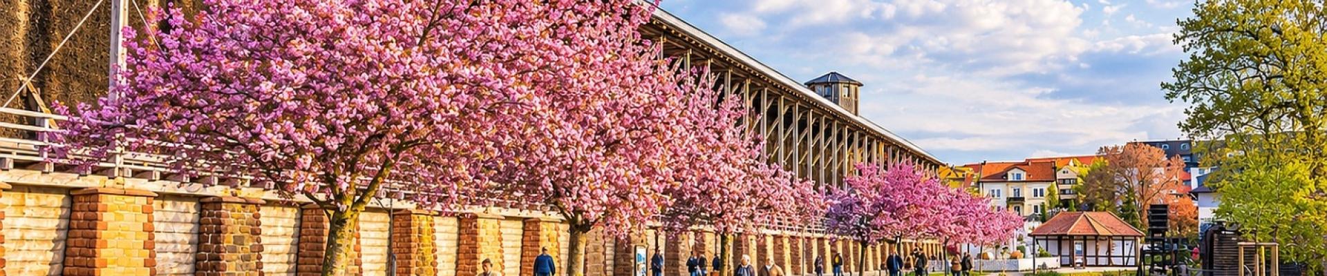 Kurpark Bad Dürkheim - Frühlingsreise zur Mandelblüte in der Pfalz