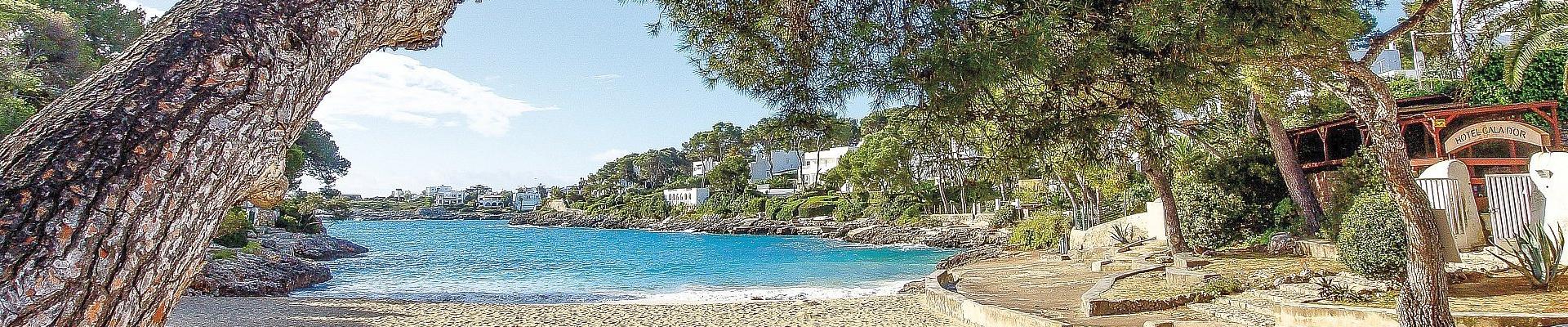 Mallorca © Frank Nürnberger auf Pixabay