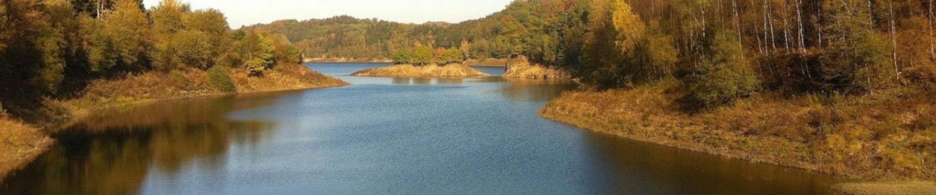 Reise zur Laubfärbung im Schwarzwald © Peggy und Marco auf Pixabay