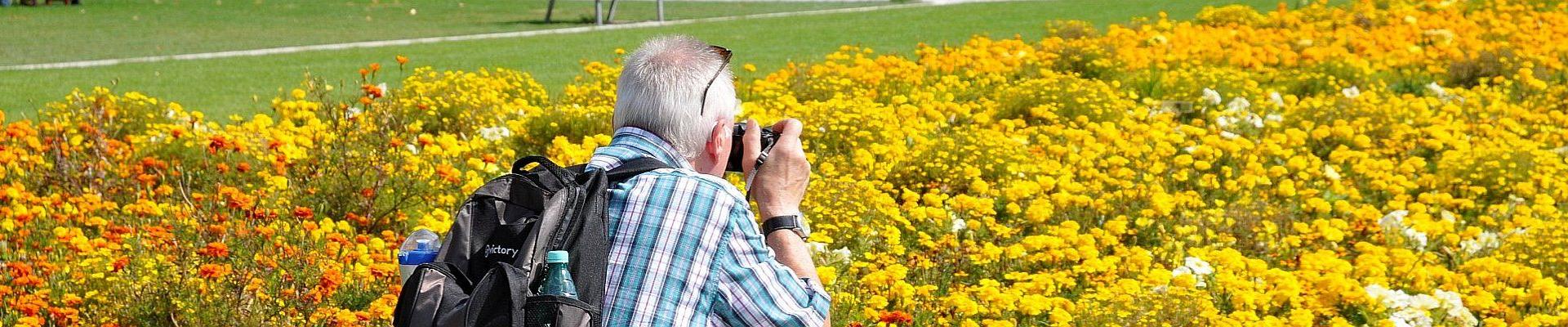 Reise zu Thüringens Gartenparadiese © Guenter Litsch auf Pixabay