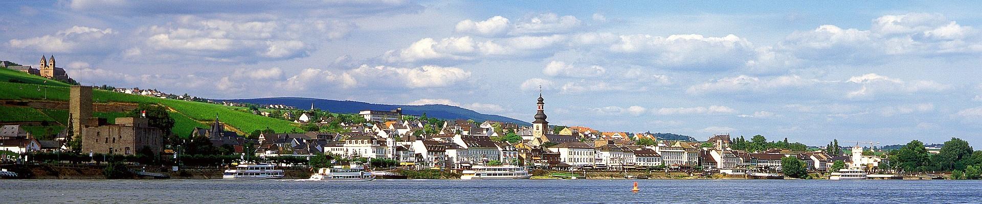 Rheingau - Blick auf Rüdesheim