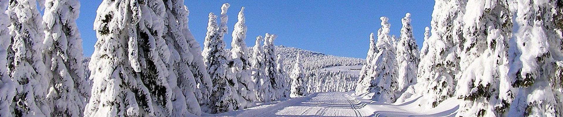 Riesengebirge in Winter © Drahushka auf Pixabay